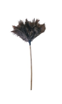 Feather Duster - Short